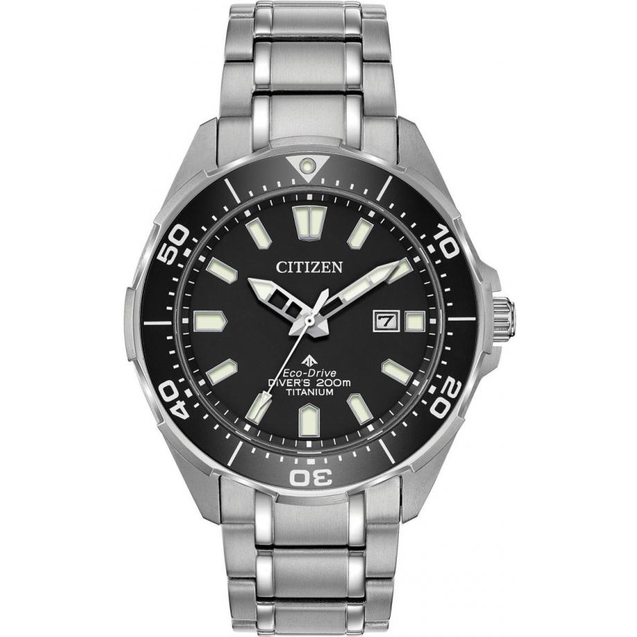citizen watch diver